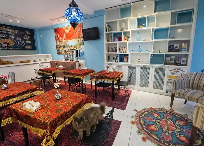 酒店 Turquoise 伊斯坦布尔